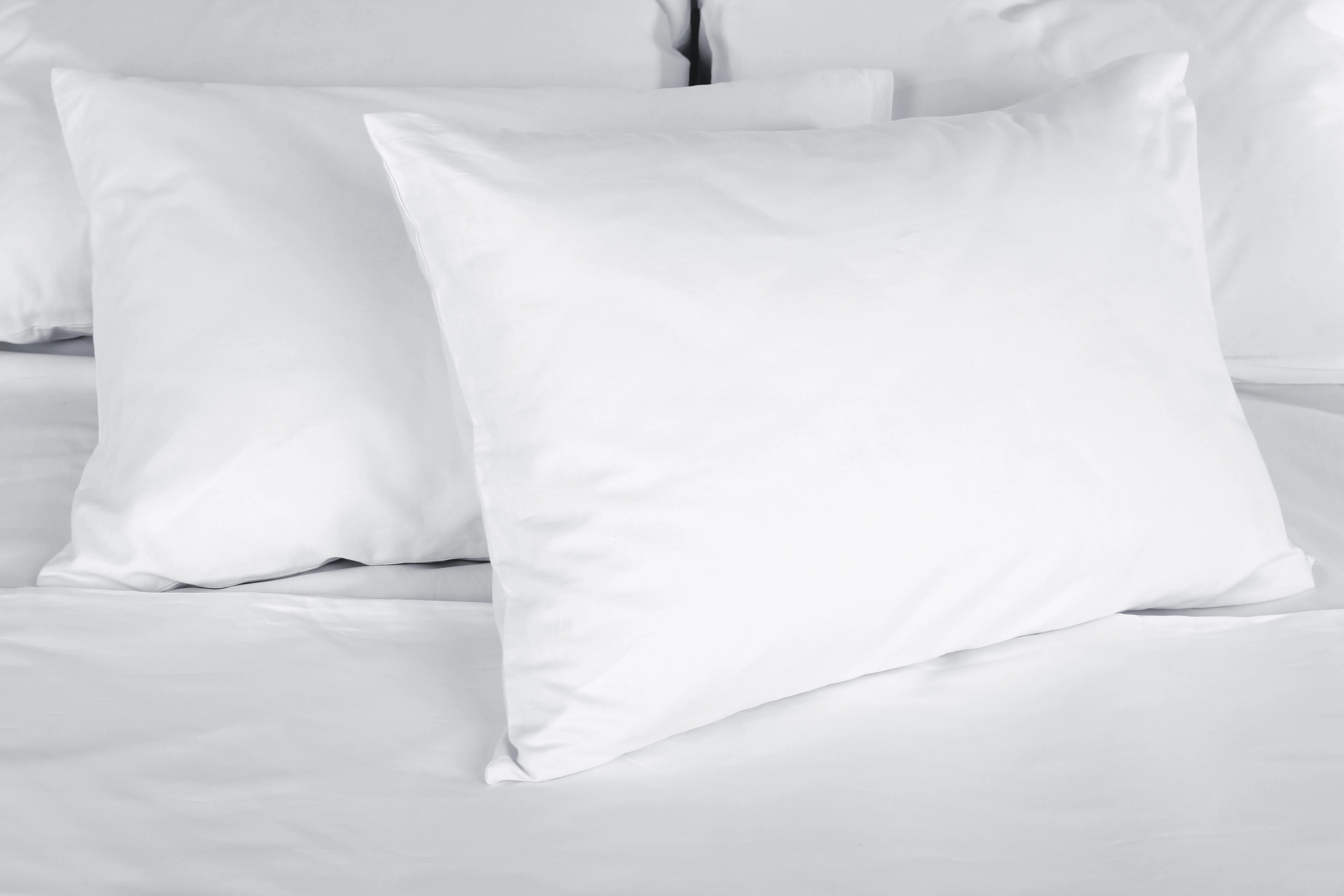 Oreiller pour hotel ferme - Nyx